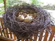 Nurten G&ouml;lc&uuml;k-Hess